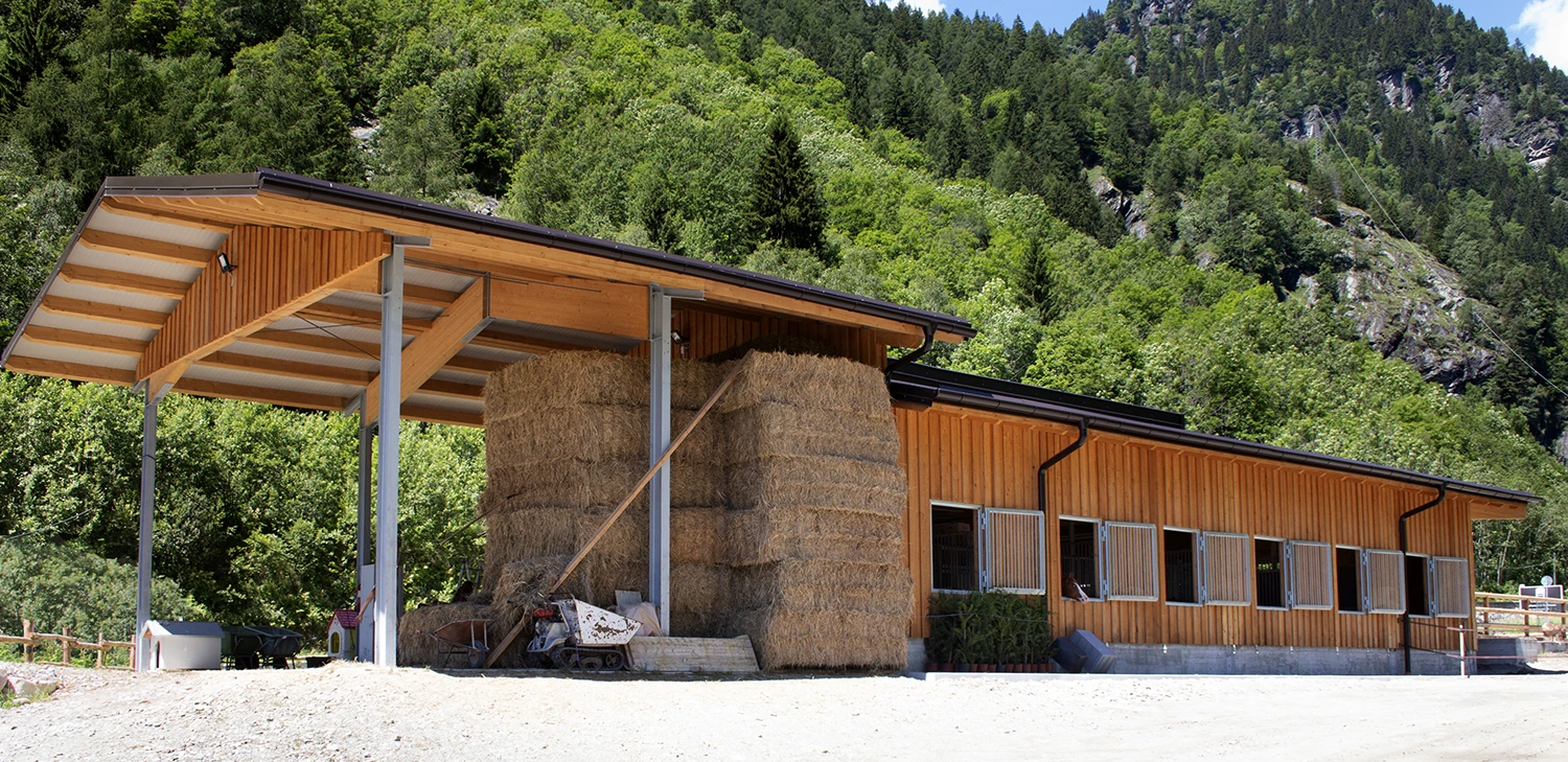 Realizzazione di un nuovo centro ippico | RiADATTO